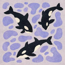 Orcas swimming, in cut-paper style
